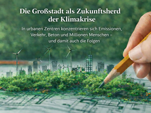 Stadtgrün ist kein Luxus mehr – es ist medizinische Infrastruktur. Stadtgrün ist kein Luxus mehr – es ist medizinische Infrastruktur.
